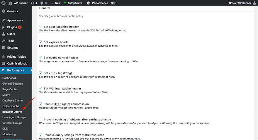 W3 Total Cache browser cache recommended settings W3 Total Cache browser cache recommended settings